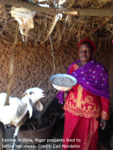 Woman farmer in Niger